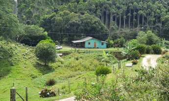 Imagem 6: FAZENDA A VENDA EM BENEDITO NOVO COM REFLORESTAMENTO DE EUCALIPTO