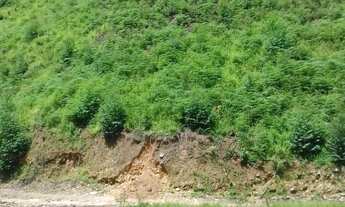 Imagem 5: TERRENO A VENDA EM NOVA TRENTO , CIDADE DE SANTA PAULINA