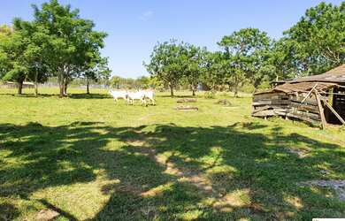 Imagem 5: Terreno com Potencial Industrial, Polo Industrial e Comercial em Tijucas com fundos para