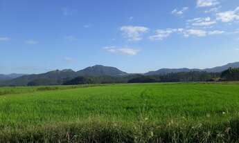 Imagem: TERRENO COM POTENCIAL PARA INSTALAÇÃO