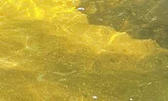 Imagem: SÍTIO COM CACHOEIRA A VENDA
