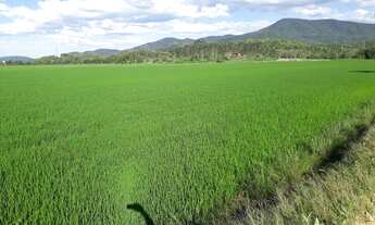 Imagem: TERRENO TODO PLANO A VENDA EM CAMBORIÚ