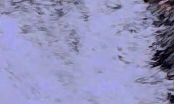 Imagem 2: TERRENO COM CACHOEIRA E NASCENTES EM ÁGUAS MORNAS