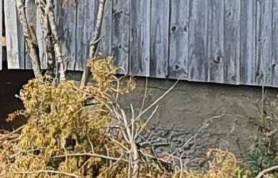 Imagem 7: FAZENDA A VENDA EM SÃO JOAQUIM REGIÃO DAS VINÍCOLAS e Vinhedos