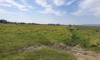 Imagem: TERRENO INDUSTRIAL FRENTE BR-101 A VENDA