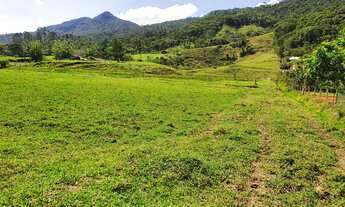 Imagem: TERRENO DE PASTAGEM E NASCENTE DE ÁGUA