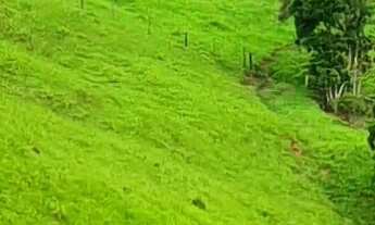 Imagem: TERRENO A VENDA COM PASTAGEM EM SÃO BONIFACIO