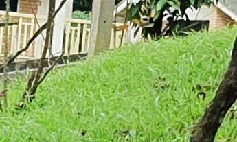 Imagem 5: SÍTIO A EM ITAPEMA NA LOCALIDADE DO AREAL