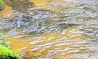 Imagem 2: SÍTIO A EM ITAPEMA NA LOCALIDADE DO AREAL