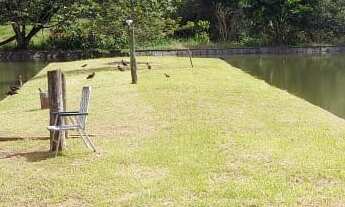 Imagem: SÍTIO RICO EM ÁGUA A VENDA EM CAMBORIU