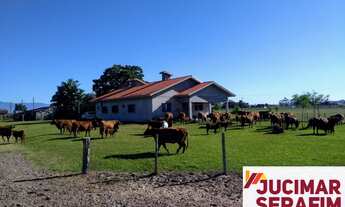 Imagem: FAZENDA COM PASTAGEM A VENDA NO SUL DE SANTA