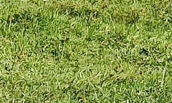 Imagem 5: TERRENO RURAL COM RIACHO PROXIMO AO CENTRO DE CAMBORIÚ