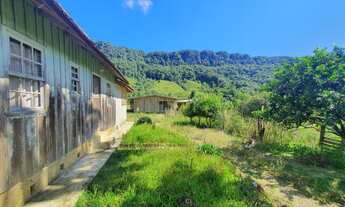 Imagem: TERRENO COM PASTAGEM A VENDA EM NOVA TRENTO