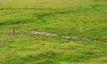 Imagem: TERRENO COM POTENCIAL LOGISTICO A VENDA