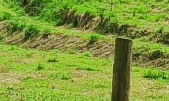 Imagem: TERRENO A VENDA EM NOVA TRENTO