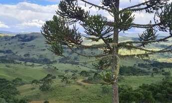 Imagem 6: TERRENO A VENDA EM URUBICI NA LOCALIDADE DO PERICÓ COM POTENCIAL TURÍSTICO E PARA PLANTIO