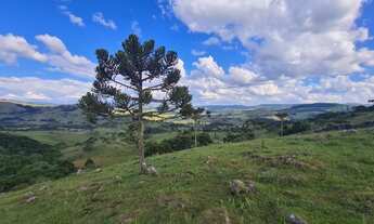 Imagem 5: TERRENO A VENDA EM URUBICI NA LOCALIDADE DO PERICÓ COM POTENCIAL TURÍSTICO E PARA PLANTIO
