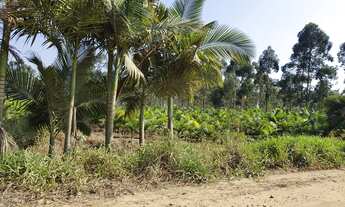 Imagem: TERRENO COM POTENCIAL PARA POLO INDUSTRIAL
