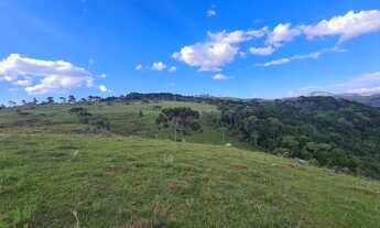 Imagem 3: TERRENO A VENDA EM URUBICI NA LOCALIDADE DO PERICÓ COM POTENCIAL TURÍSTICO E PARA PLANTIO