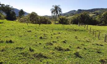 Imagem 6: FAZENDA DE PECUÁRIA A VENDA EM PAULO LOPES