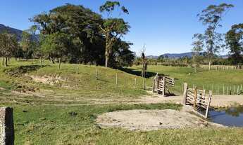 Imagem 7: FAZENDA DE PECUÁRIA A VENDA EM PAULO LOPES