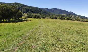 Imagem: FAZENDA DE PECUÁRIA A VENDA EM PAULO LOPES