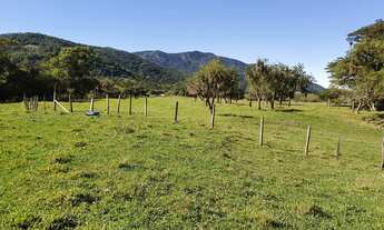Imagem 4: FAZENDA DE PECUÁRIA A VENDA EM PAULO LOPES