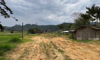 Imagem 7: Sítio com Escritura Pública a venda em Camboriú de frente ao asfalto