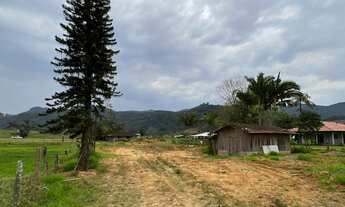 Imagem 6: Sítio com Escritura Pública a venda em Camboriú de frente ao asfalto