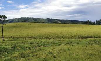 Imagem: FAZENDA DE PASTAGEM A VENDA EM BOM RETIRO