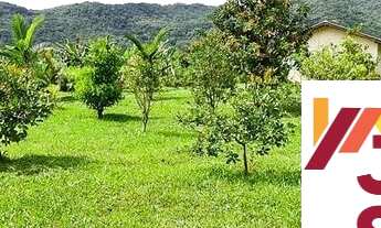 Imagem: SÍTIO EM TIJUCAS COM CASA DE ALVENARIA