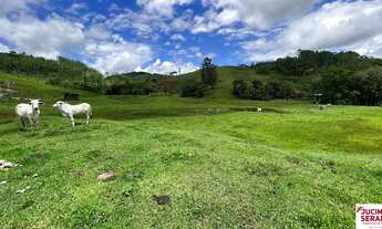 Imagem: TERRENO PARA SÍTIO A VENDA EM TIJUCAS COM