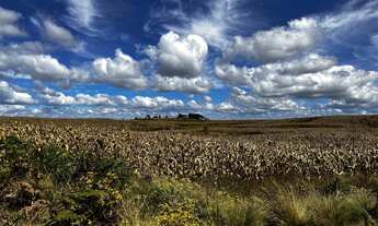 Imagem: Fazenda a venda na Coxilha Rica Lages Serra