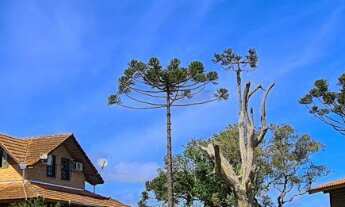 Imagem: POUSADA A VENDA NA SERRA CATARINENSE COM