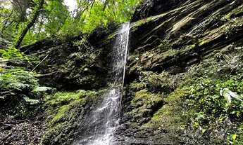 Imagem 2: FAZENDA A VENDA EM BOM RETIRO COM POTENCIAL PARA PECUARIA E TURISMO