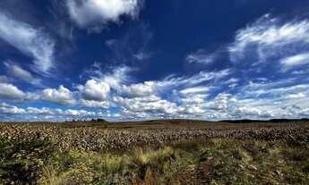 Imagem 5: Fazenda a venda na Coxilha Rica Lages Serra Catarinense