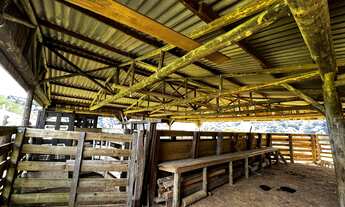 Imagem 6: FAZENDA A VENDA EM BOM RETIRO COM POTENCIAL PARA PECUARIA E TURISMO