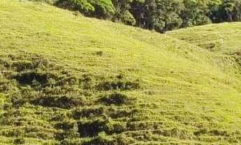 Imagem 7: TERRENO COM POTENCIAL PARA POUSADA A VENDA EM TIJUCAS E PRÓXIMO A BALNEÁRIO CAMBORIÚ