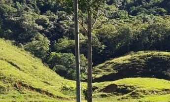 Imagem 6: TERRENO COM POTENCIAL PARA POUSADA A VENDA EM TIJUCAS E PRÓXIMO A BALNEÁRIO CAMBORIÚ