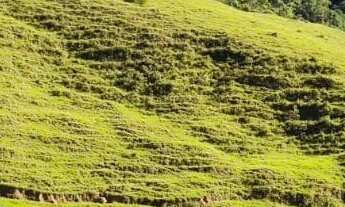 Imagem 2: TERRENO COM POTENCIAL PARA POUSADA A VENDA EM TIJUCAS E PRÓXIMO A BALNEÁRIO CAMBORIÚ