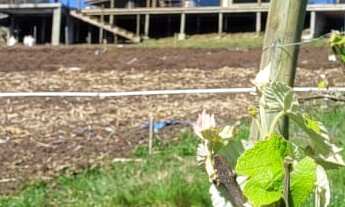 Imagem 6: POUSADA A VENDA NA SERRA CATARINENSE COM GRANDE POTENCIAL PARA EXPANSÃO , POUSADA NA SERRA