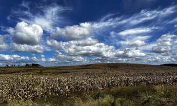 Imagem 7: Fazenda a venda na Coxilha Rica Lages Serra Catarinense