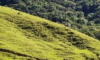 Imagem 5: TERRENO COM POTENCIAL PARA POUSADA A VENDA EM TIJUCAS E PRÓXIMO A BALNEÁRIO CAMBORIÚ
