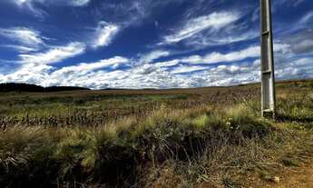 Imagem 3: Fazenda a venda na Coxilha Rica Lages Serra Catarinense