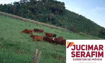 Imagem: FAZENDA COM PASTAGEM A VENDA EM LUIZ ALVES