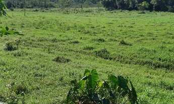 Imagem 5: FAZENDA COM PASTAGEM A VENDA EM LUIZ ALVES PRÓXIMO A BALNEÁRIO CAMBORIÚ
