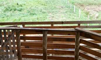 Imagem 7: FAZENDA COM PASTAGEM A VENDA EM LUIZ ALVES PRÓXIMO A BALNEÁRIO CAMBORIÚ