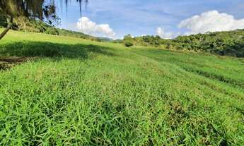Imagem 3: FAZENDA COM PASTAGEM A VENDA EM LUIZ ALVES PRÓXIMO A BALNEÁRIO CAMBORIÚ