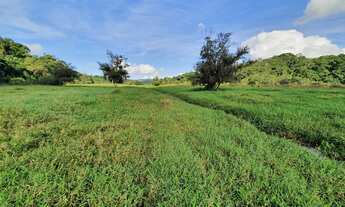 Imagem 2: FAZENDA COM PASTAGEM A VENDA EM LUIZ ALVES PRÓXIMO A BALNEÁRIO CAMBORIÚ