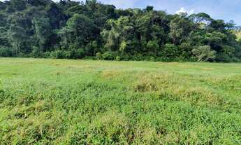Imagem 4: FAZENDA COM PASTAGEM A VENDA EM LUIZ ALVES PRÓXIMO A BALNEÁRIO CAMBORIÚ